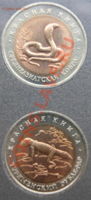Набор монет красная книга до 16.01.2014 22-00 - DSC00805.JPG