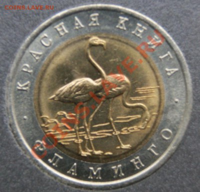 Набор монет красная книга до 16.01.2014 22-00 - DSC00808.JPG