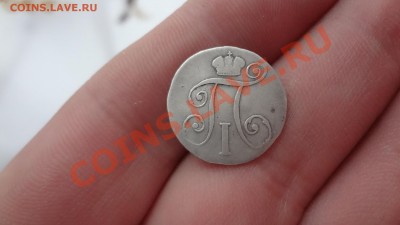 10 Копеек 1799г Павел. На Оценку. - DSC09830.JPG