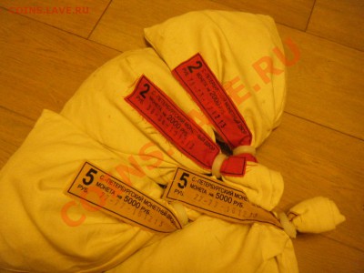 5 руб. и 2 руб 2013 СПМД - DSCF9449.JPG
