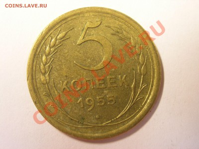 5 коп 1955 - 1_9_19206289