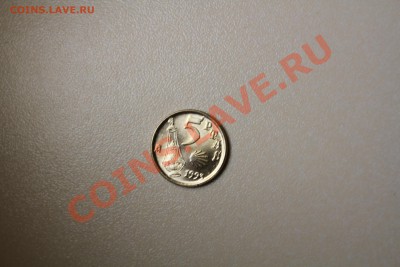 5 птас Испания 1993 - IMG_6750.JPG