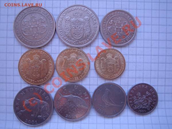 Сербия -Хорватия 10 монет до 12.02.10г. 21.00 мск - IMG_0352