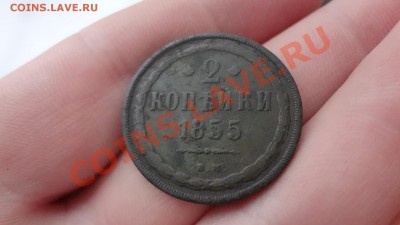 Варшавские 2 Копейки 1855г До 18.01.14г 22.30мск - DSC09834.JPG
