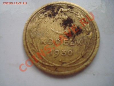 5 к. 1930 до 21.01.14 - DSC08291.JPG