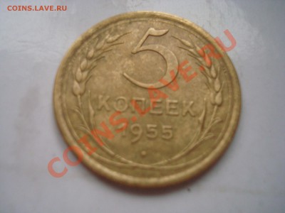 5 к. 1955 до 21.01.14 - DSC08299.JPG