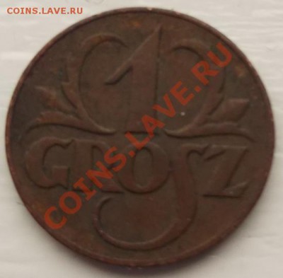 1 грош 1923 Польша оценка - DSCF7625