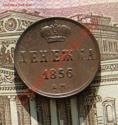 Денежка 1856 до 22-01-2014 до 22-00 по Москве - М денежка 1856 Р.JPG