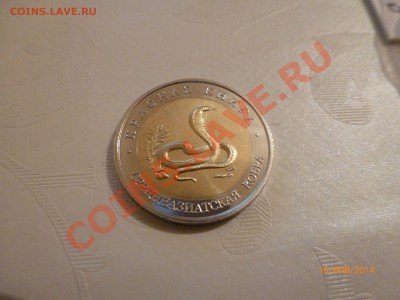 Копия! КК 1992 Среднеазиатская кобра до 18.01.14г 22:00МСК - P1080093.JPG