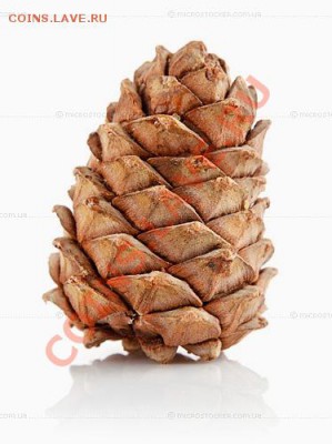 Ассоциация слов - Безымянный
