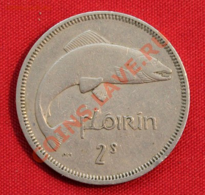 ИРЛАНДИЯ флорин 1962г. ЛОСОСЬ до 23.01.14г. в 22-00 - IMG_0479.JPG