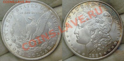 монеты США (вроде как небольшой каталог всех монет США) - dollar 1886.JPG