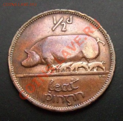 1 - Ирландия 0,5 пенни (1941) Свиноматка Р