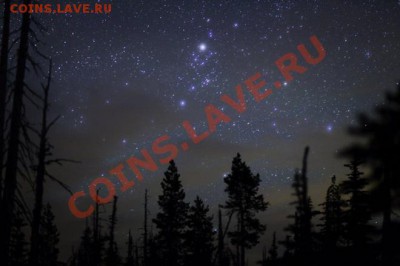 Какой этаж выбрать для проживания? - Безымянный