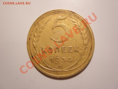 Несколько нечастых ранних "советов".Оценка. - SS104750.JPG