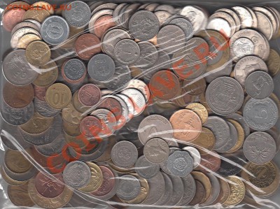 1 кг Экзотика без повторов до 22.00 23.01 - IMG