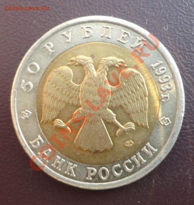 Эублефар - смещение центральной вставки - DSC02829.JPG
