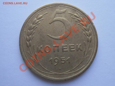 ПЯТАК ПЯТЬДЕСЯТ ПЕРВОГО ГОДА до 24 января - SAM_2143.JPG