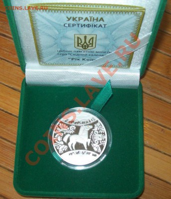Украина 2014 Год коня 20.01 22-00 - 100_5450