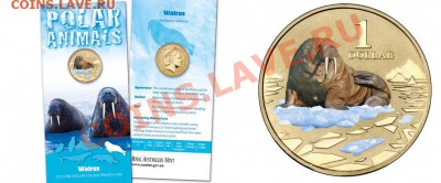 Животные на монетах - Австралия 1 доллар 2013 морж