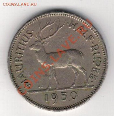 2 РУПИИ 1950 ОЛЕНЬ ДО 23.01 В 22.00МСК (7770) - 4-мавр50пол1