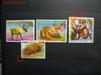 Обменяю марки на вкладыши, наклейки и обертки от жвачек - DSCN0320.JPG