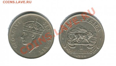 Восточная Африка 1 шиллинг 1950 год до 22.00 мск. 24.01.2014 - восточная африка 1 шиллинг 1950
