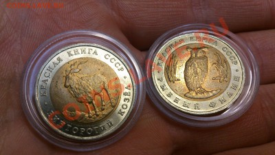 Красная книга 1991г комплект ФИКС - DSC_0170