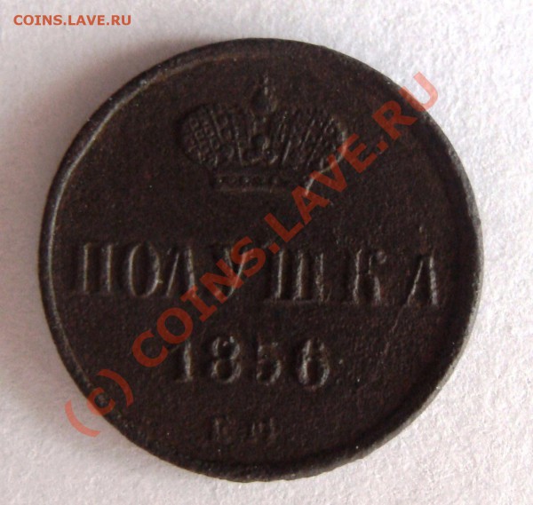 полушка 1856 ем до 14.02.10 в 22-00 мск - DSC03701.JPG