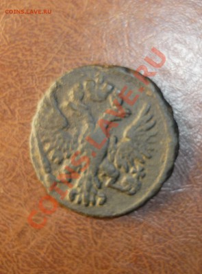 деньга 1750 г до 24.01.2014г в 23-00 мск - P1140286.JPG