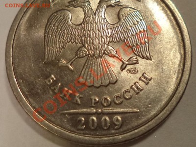 Встретились ..."родственники" 2 р. 2009 г. СП ст. - 2р09а.JPG