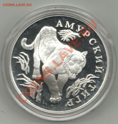 1 рубль Амурский тигр Ag 900 15,55 до 25.01.2014 - Изображение 001-1