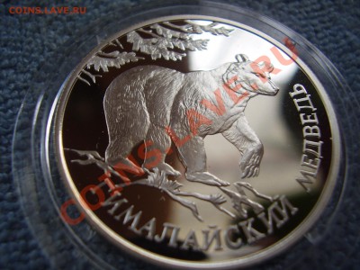 Рубль 1994. Гималайский медведь - P3200161.JPG
