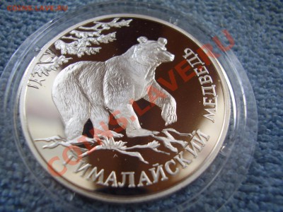 Рубль 1994. Гималайский медведь - P3200162.JPG