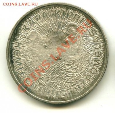 50 тенге Ёжик  до 28.01.2014 23-00мск - ёж