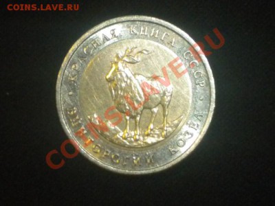 красная книга винторогий козел  до28.01.14. 22.00.мск - 150.JPG