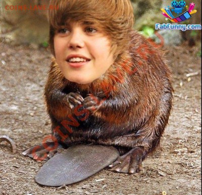 Ассоциация слов - 6353_957711519_celebrity_pictures_justin_beaver