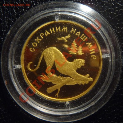 100 рублей 1996 Сохраним наш мир Тигр Оценка - 100 руб 1996 А.JPG