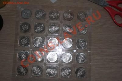 Сочи лучик 50 штук до 26.01.14 - IMG_7002.JPG