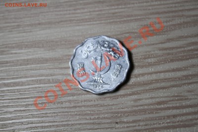 Арабская 1976 колоски ,мечеть - IMG_7075.JPG