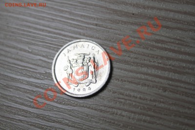 Ямайка. 5 центов. крокодил - IMG_7089.JPG