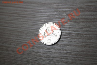 Ямайка. 5 центов. крокодил - IMG_7088.JPG