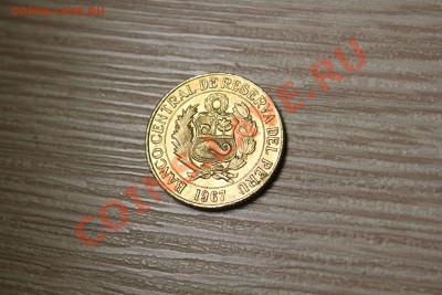 2 солес де оро. Лама - IMG_7136.JPG