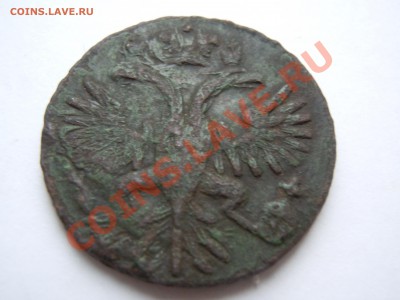 денга 1731 в сохране Видны перышки короткий аук - DSCN1851.JPG