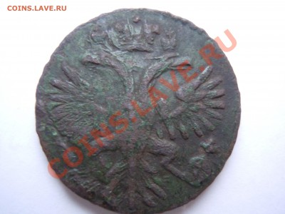 денга 1731 в сохране Видны перышки короткий аук - DSCN1854.JPG