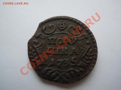 Полушка 1735 В сохране, перышки видны! Короткий аук - DSCN1856.JPG
