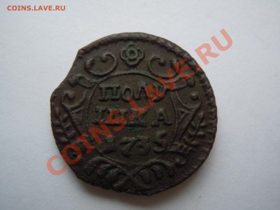 Полушка 1735 В сохране, перышки видны! Короткий аук - DSCN1857.JPG