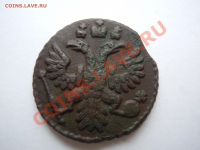 Полушка 1735 В сохране, перышки видны! Короткий аук - DSCN1858.JPG