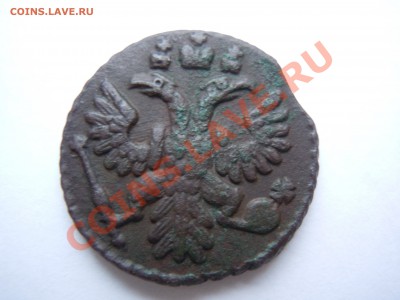 Полушка 1735 В сохране, перышки видны! Короткий аук - DSCN1859.JPG