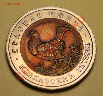 <<_Кавказский Тетерев_>> с 201 рубля!!! до 27.01.2014 - кК